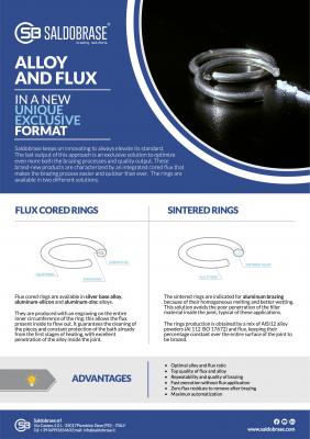 Cored flux rings