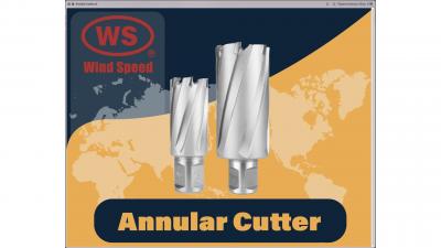 TCT Annular Cutter