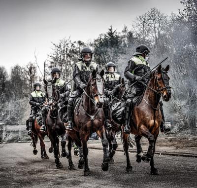 TBW - LAW ENFORCEMENT
