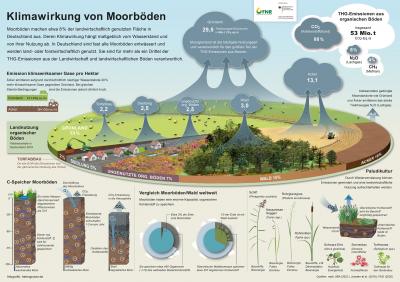 Klimawirkung von Moorböden