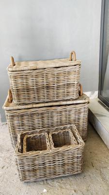 Complete Set of Rattan Trunk and Storage