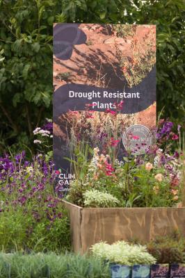 Climate Gardeners - Trockenheit resistente Pflanzen Mischung