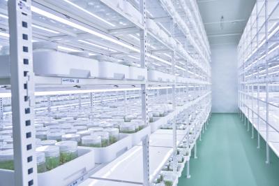 Plant Select Tissue culture lab