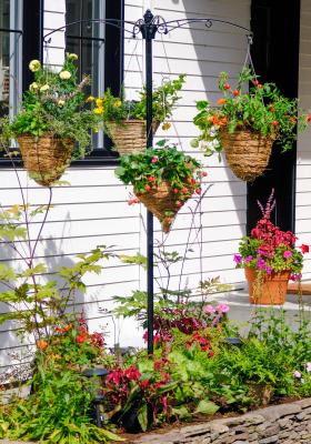 Vertical Gardening