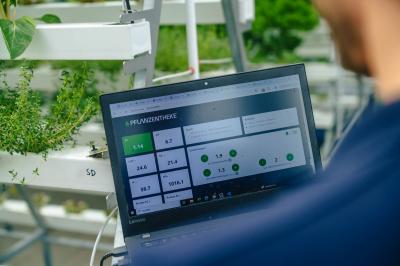 Steuerung Pflanzentheke
