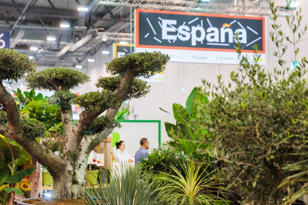 Impression IPM ESSEN 2025