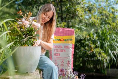 Floragard Rosen- und Staudenerde