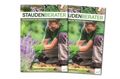 Neuauflage Stauden Berater