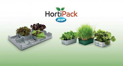 Einteilige Pflanztrays (Einloch-Alveolen)