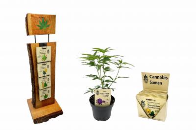 Cannabis Samen für Gärtnereien & Gartencenter